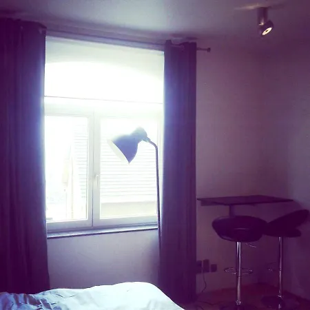Studio In With Wonderful City View Enclosed Garden And Wifi Lutych